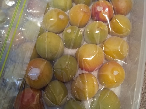 ジッパー付き保存袋で!紫蘇は使わないよ!梅干し